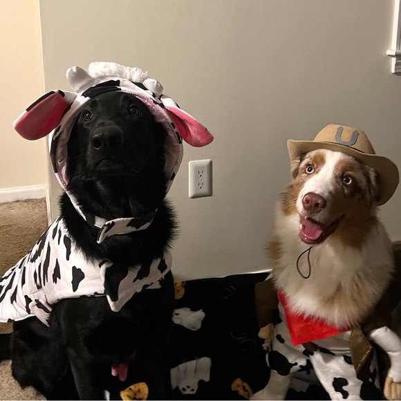 Meet your seller!! ✨💕♎️ - Picture 6 of 7